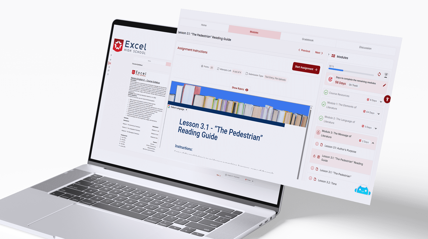 LS-Modules Web developer at desk